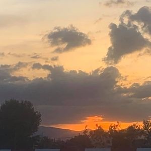 Meet your Posher, Patty